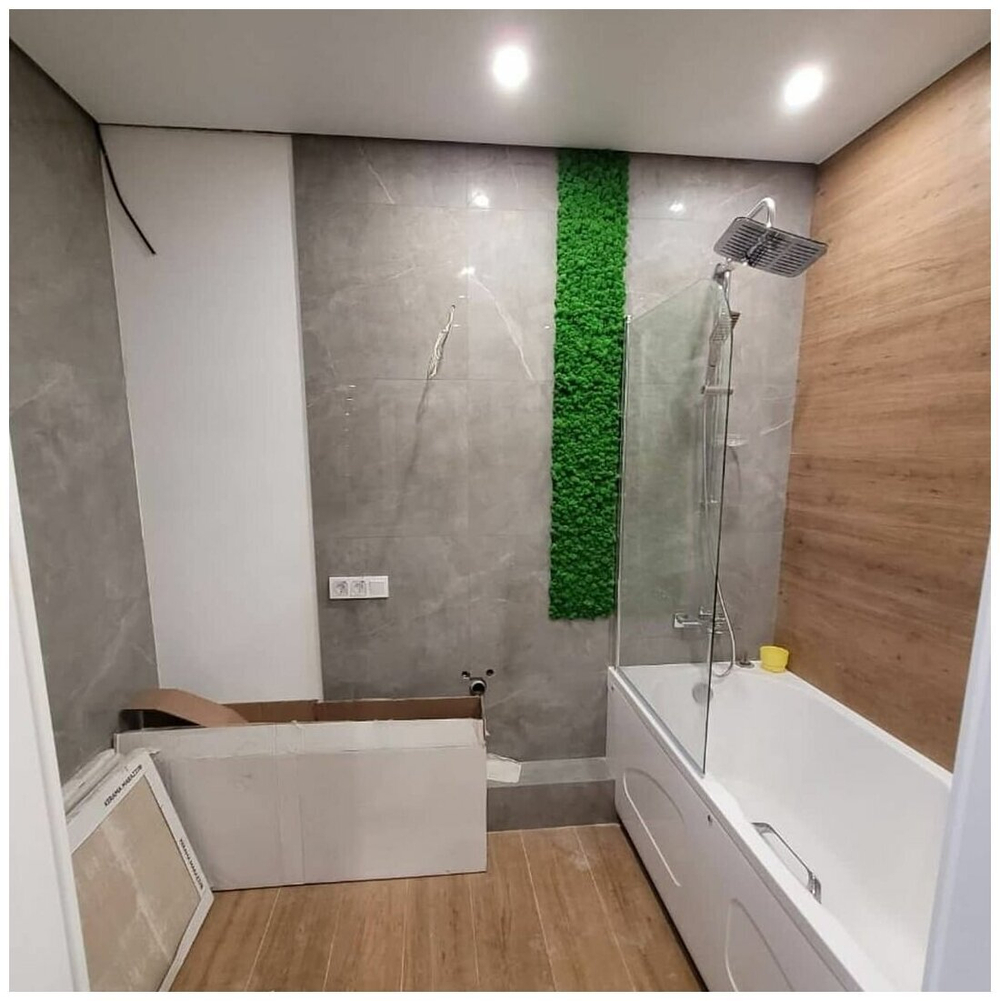 Панно из мха Ягель