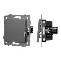 Механизм выключателя одноклавишный самовозвратный SWT-MKR1-PL-GR-V (250V, 10A) (Arlight, -) 049881