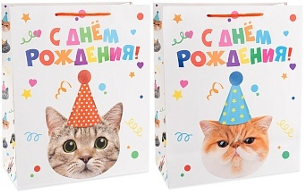 Пакет подарочный Котенок в колпачке Лаковый 32*26*12 см.