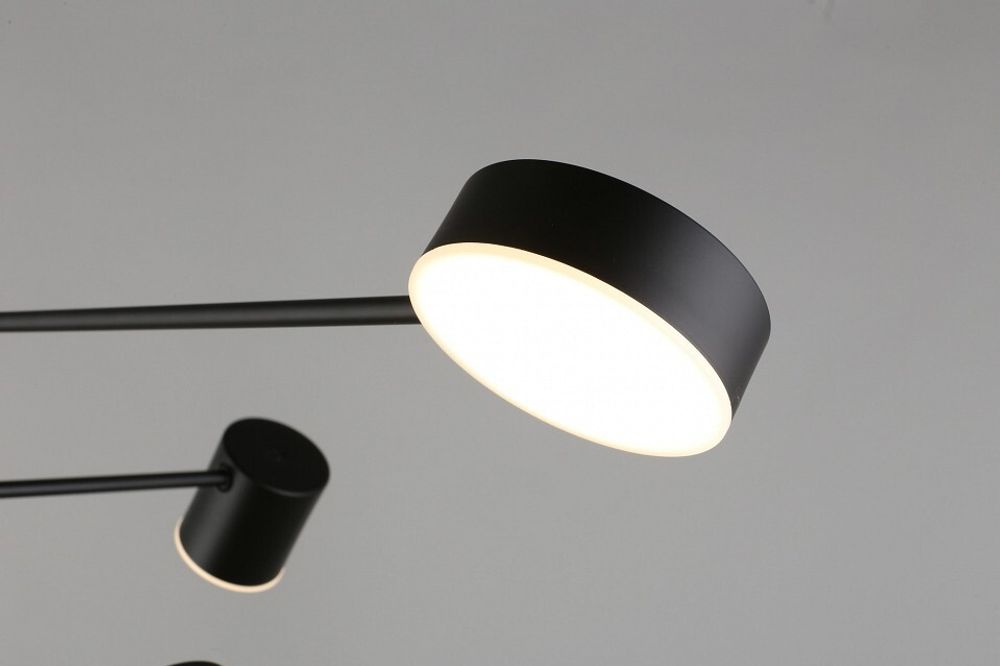 Люстра на штанге Aployt Frania APL.017.07.48