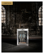 Шкаф для вызревания мяса DRY AGER DX 500 Premium S