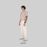  Брюки мужские Dickies Chase City Pant артикул:DK0A4YSAF901 - купить в магазине Дайс