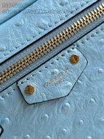 Louis Vuitton Vanity Pouch