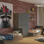 Шкаф распашной Наоми ШК-20 дуб каньон/графит