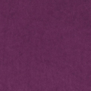 Микровелюр Бэст 29