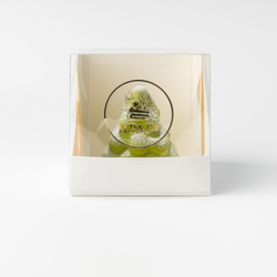 Пирожное Снежная Ель