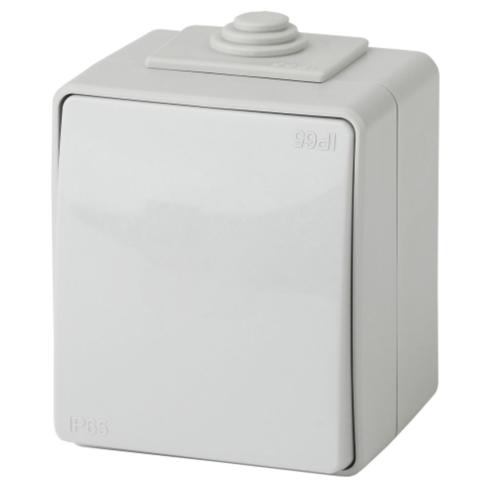 Переключатель ЭРА Эксперт 11-1603-03 IP65 10АХ-250В ОУ серый | Эра Эксперт