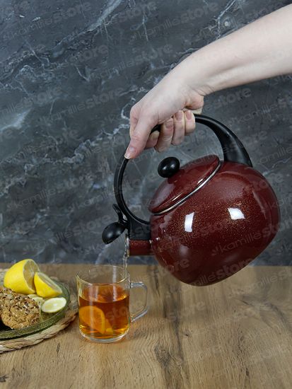 Чайник 2,2 л. эмалированный со свистком Kamille KM 1038C с черной бакелитовой ручкой