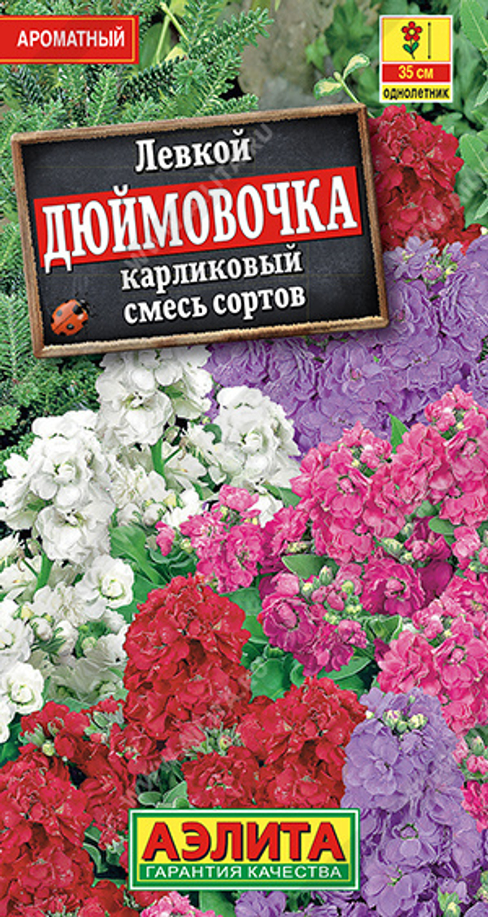 Левкой Дюймовочка, смесь сортов карликовый 0,1гр Аэлита