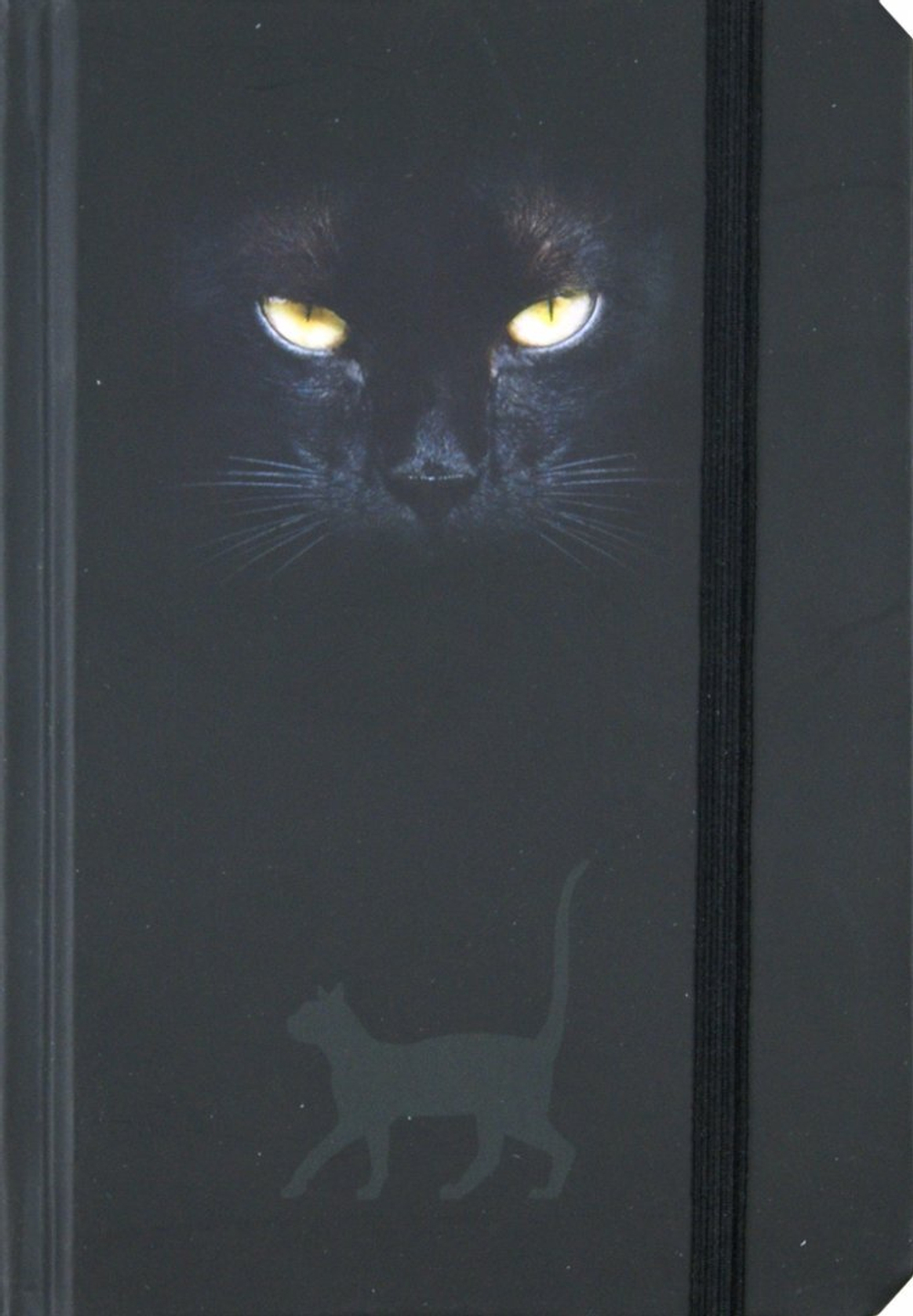 Дневник для записей "Глаза Кошки". Мини формат