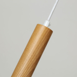 Подвесной светильник Favourite Pendenti 2014-1P