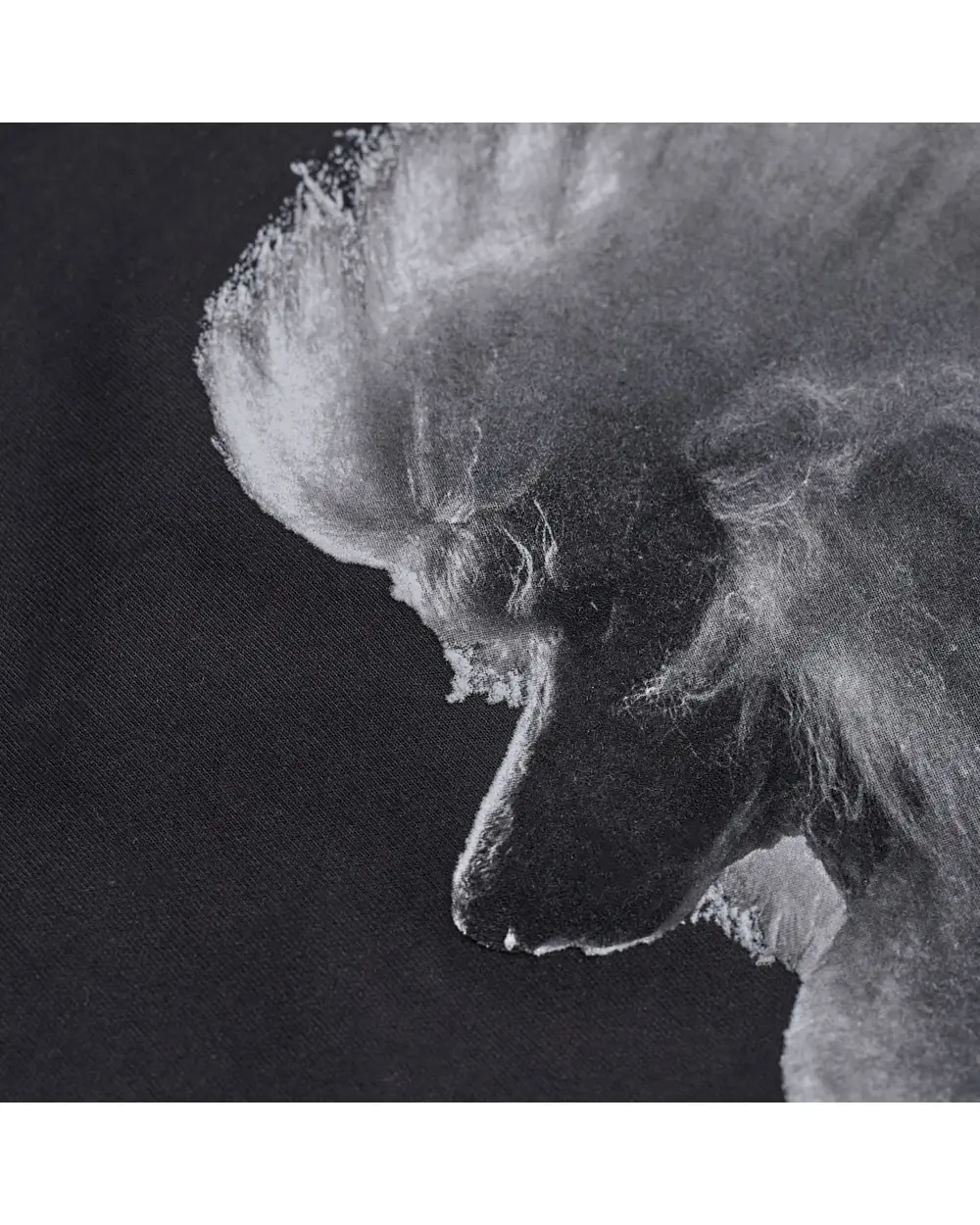 0437350_1-1000x1250w