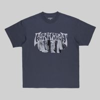  Футболка мужская Carhartt WIP Pagan артикул:I032877_zeus_grey - купить в магазине Дайс