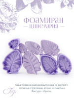 Фоамиран Цинерария