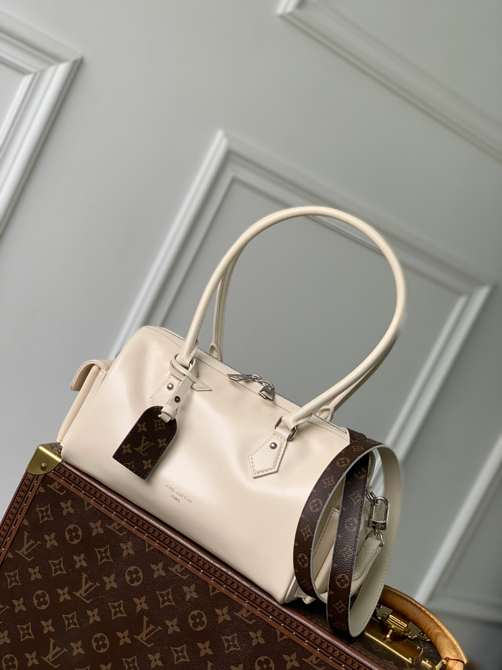 Louis Vuitton Speedy Cargo Vibe