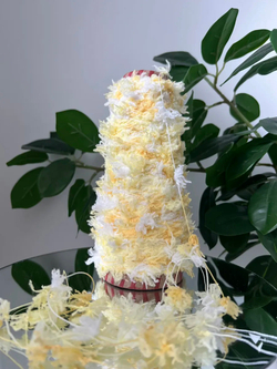 Пряжа Единорог UNICORN мультиколор с шишибриками 50 g