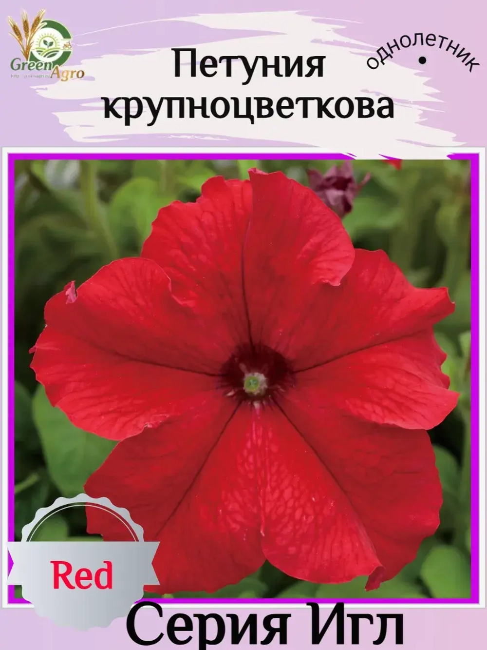 Семена Петуния Крупноцветковая