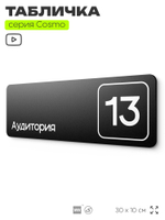 Таблички с номером аудитории "Аудитория №13", для офиса, 30 х 10 см, серия COSMO 3010, черная, Айдентика Технолоджи