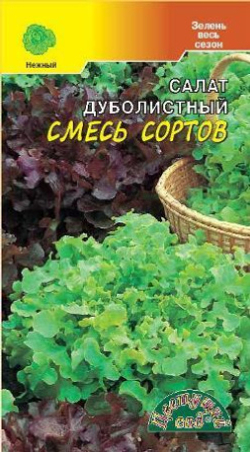 Салат семена зеленый