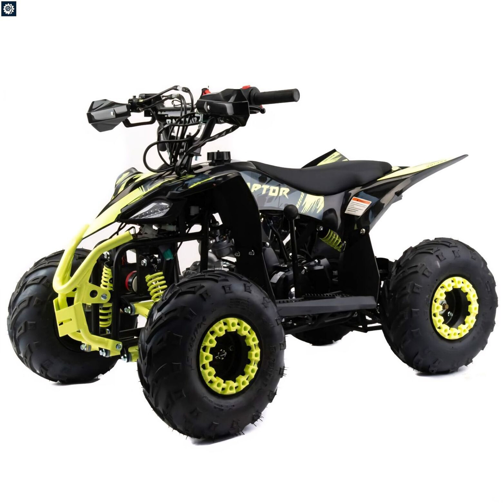 Квадроцикл Racer Raptor 110