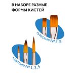 Набор кистей синтетика 5шт (1, 3, 5 кругл., 5, 8 плоск)), Гамма