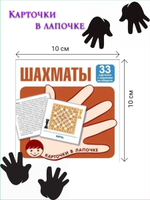 Карточки в лапочке. Финансы (33 карточки с заданием на обороте)