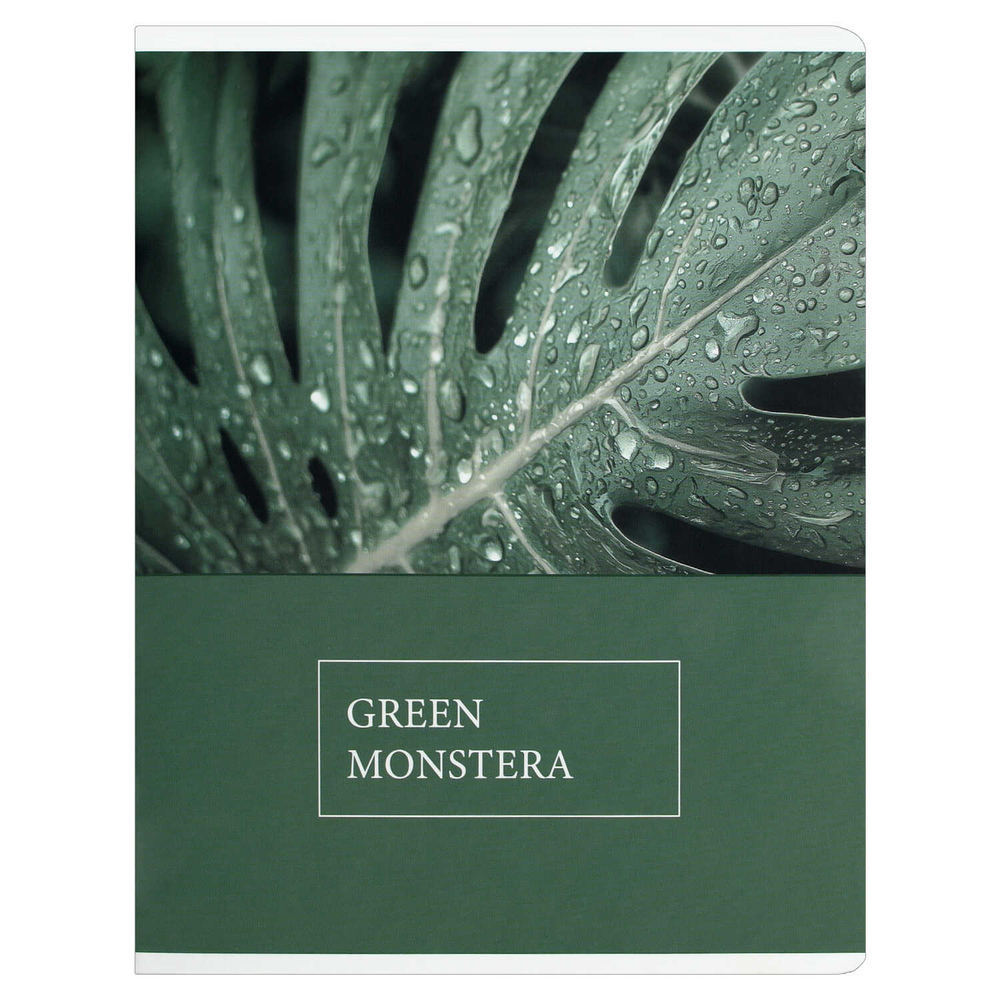 Тетрадь, 48 л, клетка, КРАСОТА ПРИРОДЫ А5