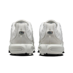 Кроссовки Nike Air Max Plus 'Reflective Platinum Tint' FZ4342-001