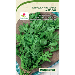 Петрушка семена