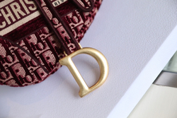 Christian Dior Saddle Bag 25 cm