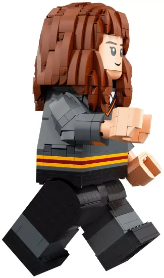 Конструктор LEGO Гарри Поттер и Гермиона Грейнджер (76393)