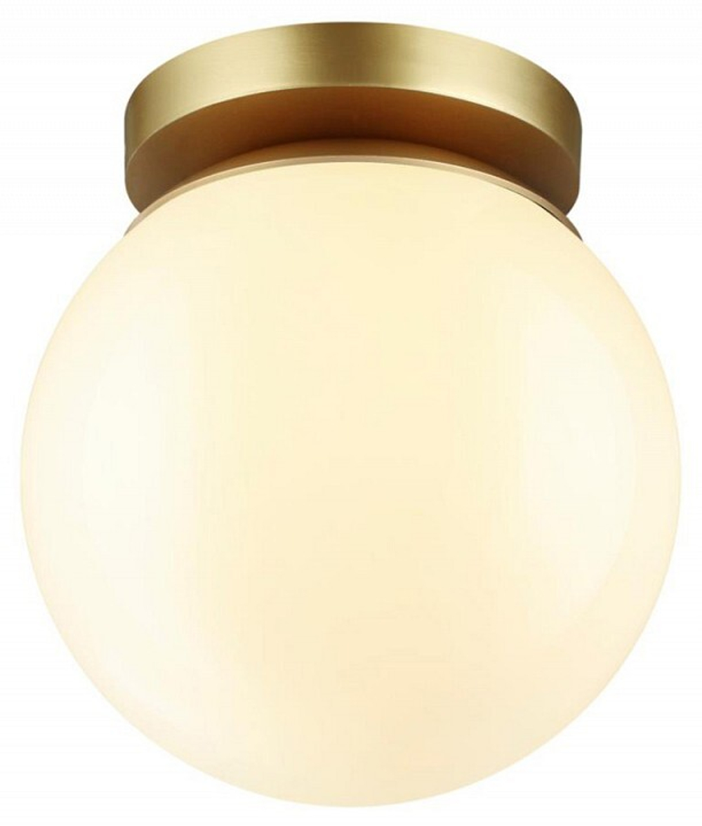 Накладной светильник Odeon Light 4247/1C