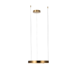 10013S Подвесной светильник LOFT IT Ring