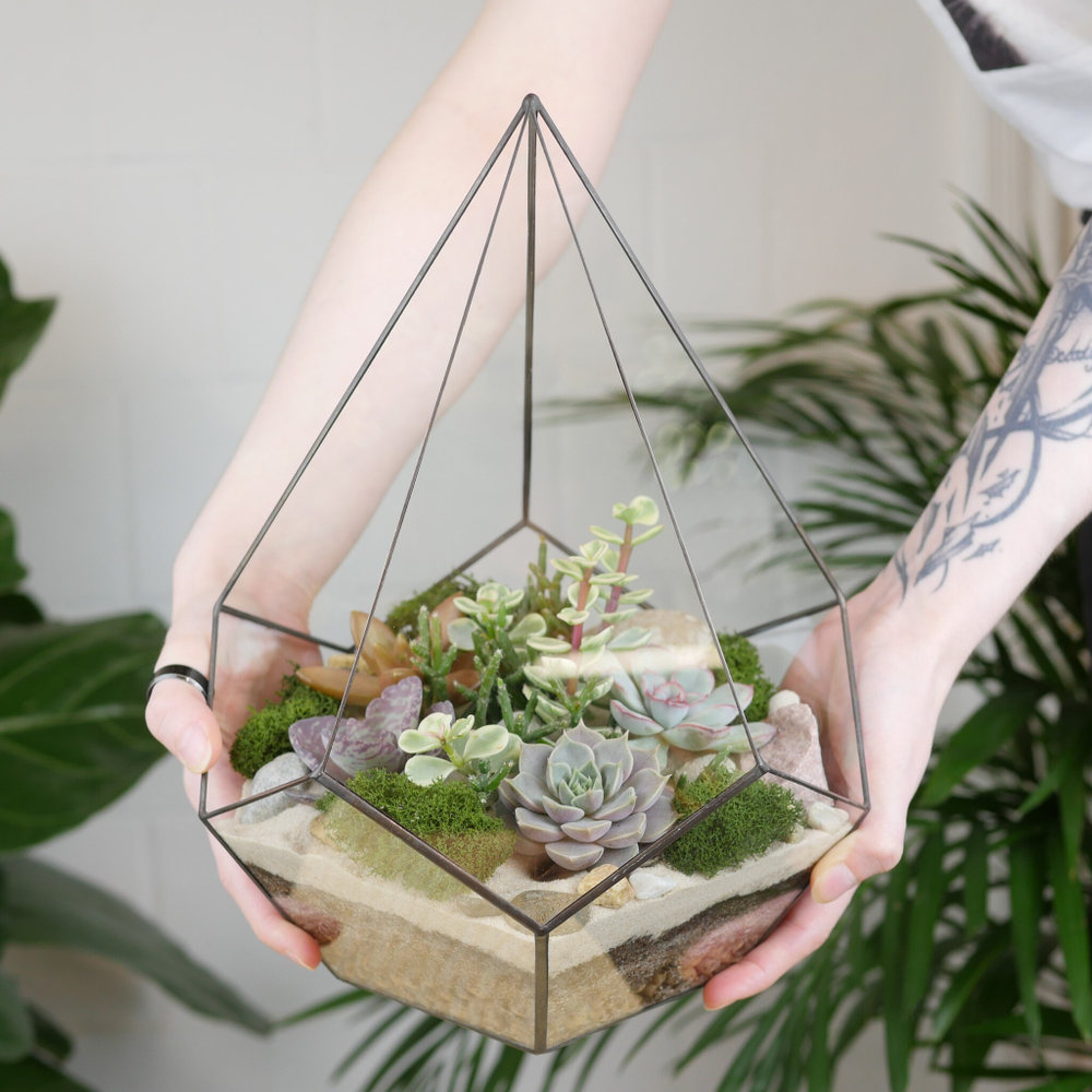 Готовый флорариум с суккулентами Капля Laaroom