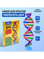 Набор для опытов «Молекула ДНК»