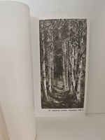 Василий Дмитриевич Поленов