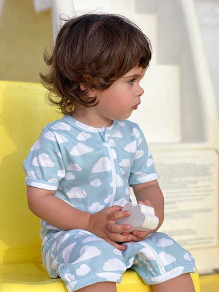 Песочник облака