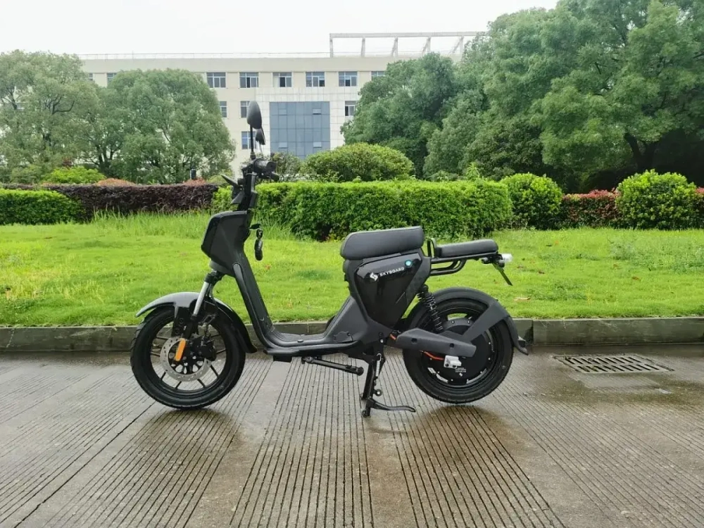 Электроскутер Skyboard Sevastopol 1800W