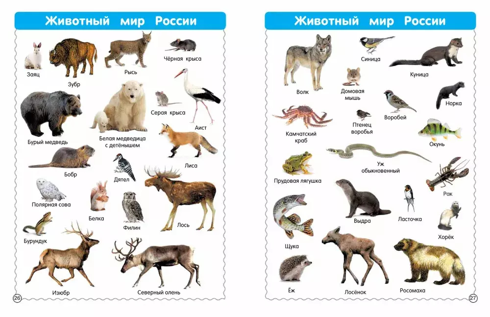Все-все животные