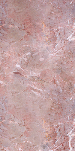 Ветка Сакуры