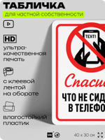Табличка для частной территории "Спасибо, что не сидите в телефоне", на дом, для участка, организаций и частных территорий, предупреждающая, 40х30 см, Silver Plane x Айдентика Технолоджи