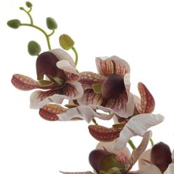 GAEM Цветочная композиция, L W H60 см