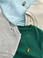 Лонгслив для мальчика Next N73-636, 4 шт., Зеленый, Молочный, Серый