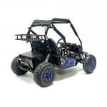 Багги Green Camel Намиб T10 (60V 2000W R8 Дифф)