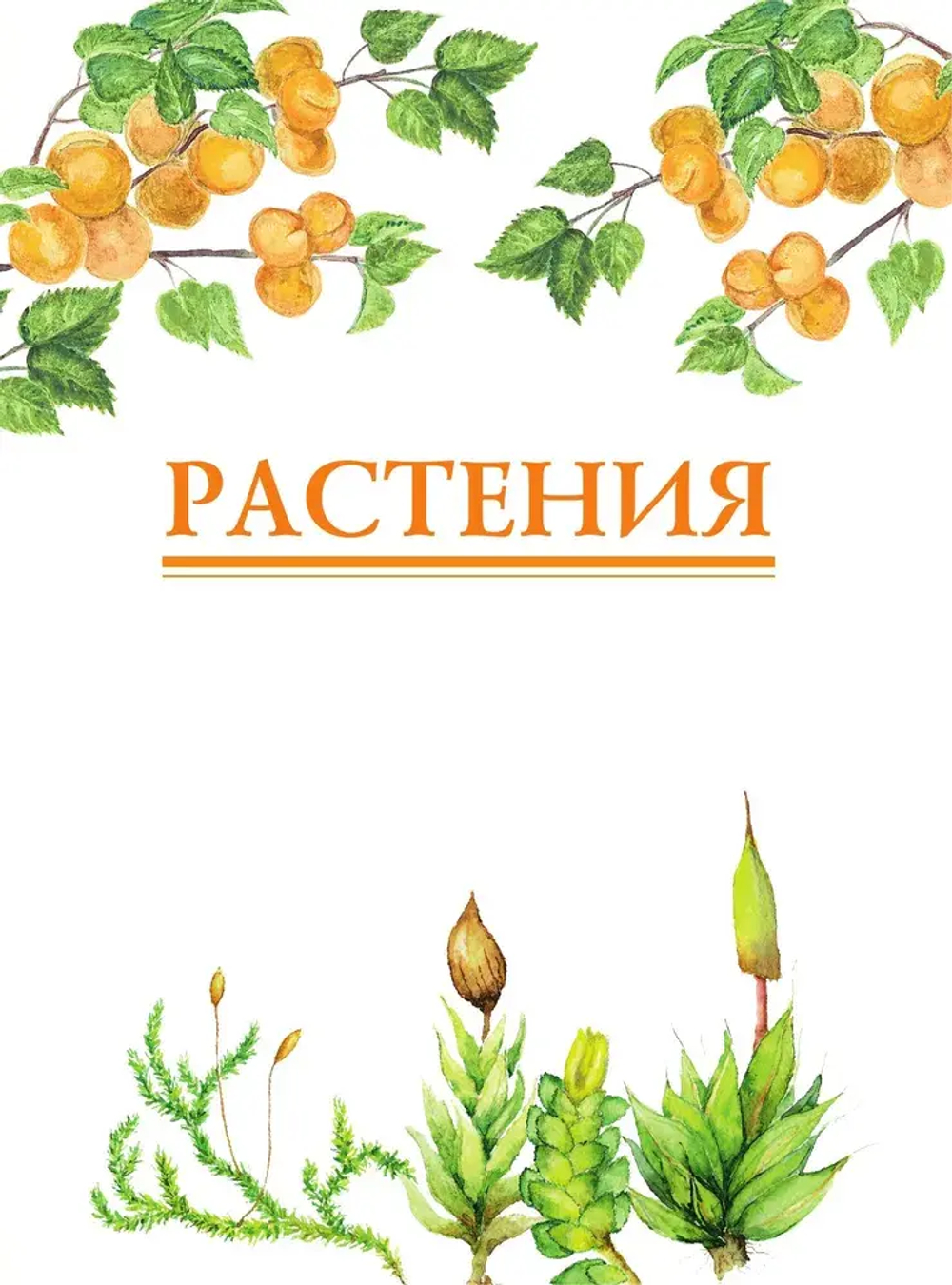Красная книга России. Растения Грибы Лишайники