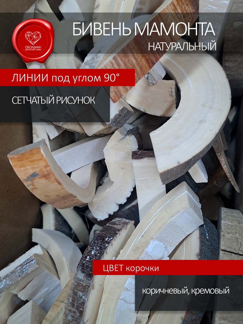 Корка бивня мамонта для коллекции