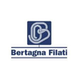 Пряжа Bertagna Filati