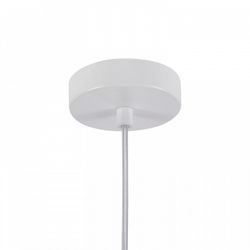 Подвесной светильник Favourite Alba 4103-1P