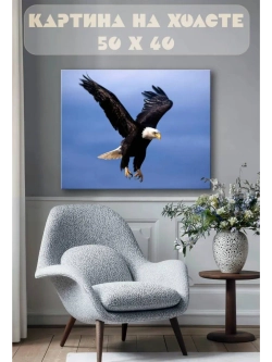 Картина на стену 40 X 50 Орел