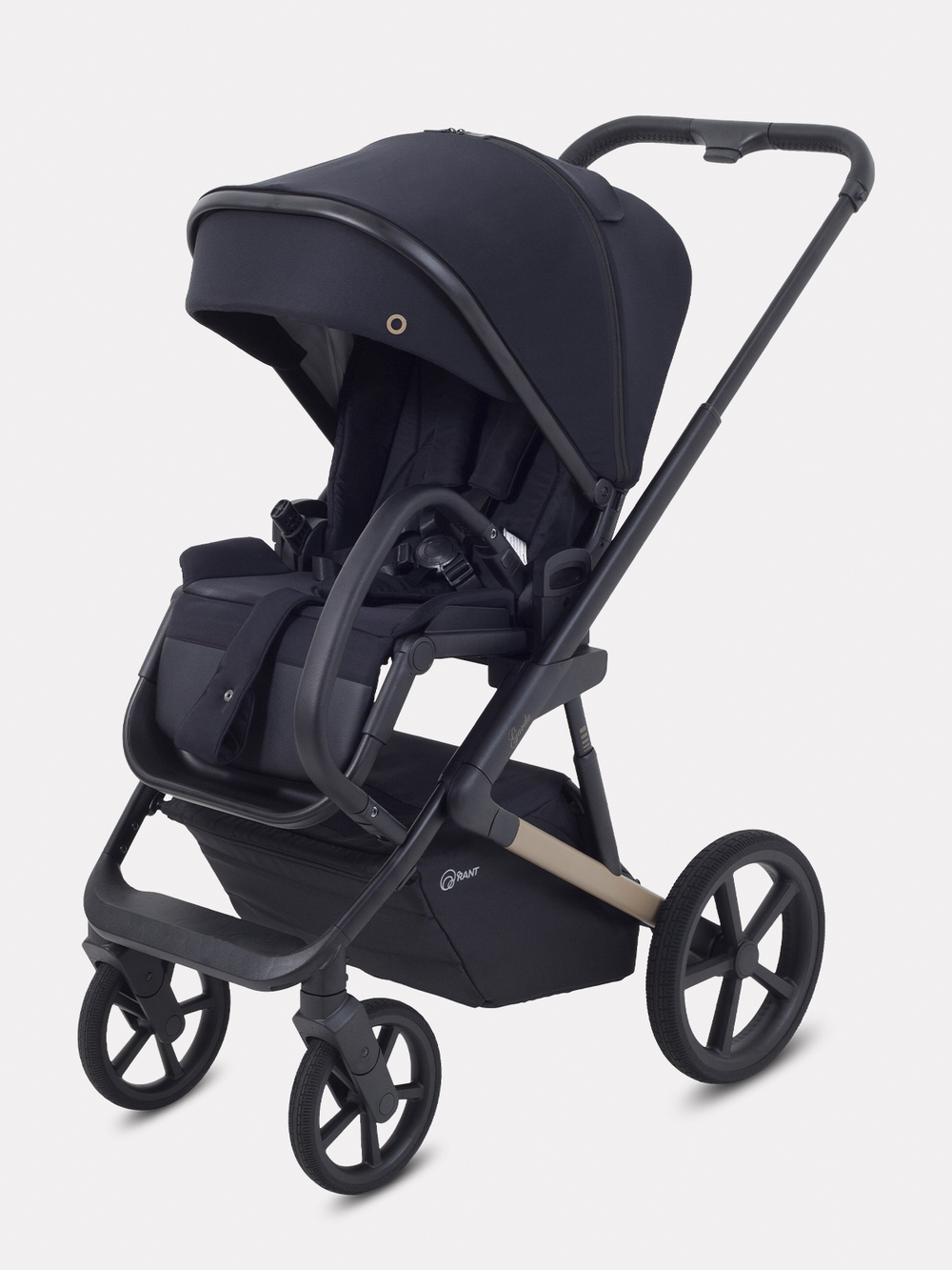 Коляска 2 в 1 Rant Garda